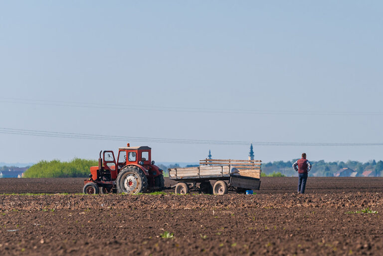 traktor u njivi pss zrenjanin