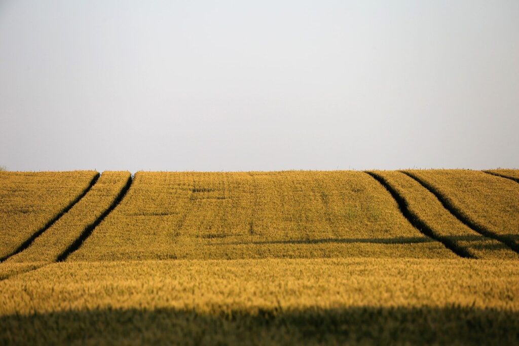 agriculture g6098a4bbe 1280