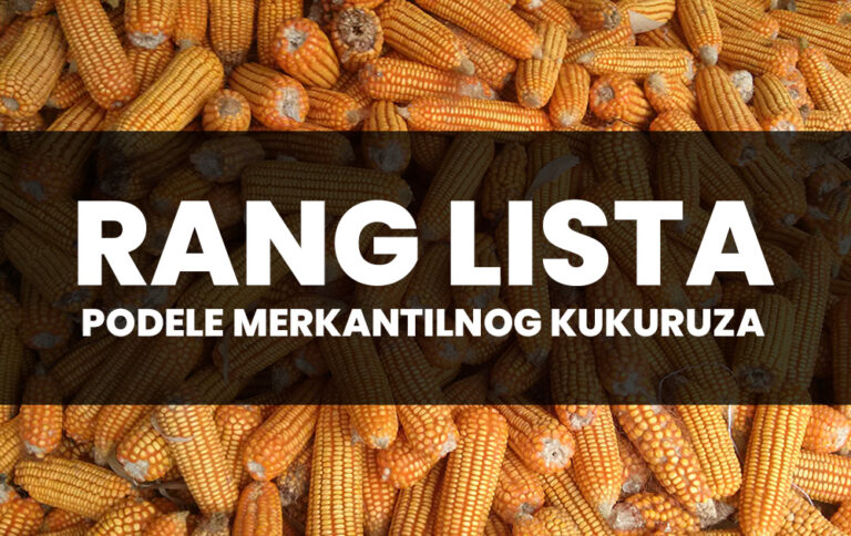 rang lista kukuruz 1v