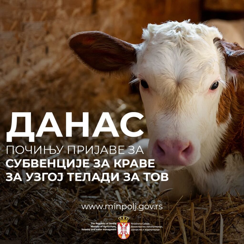 subvencija za krave 2023