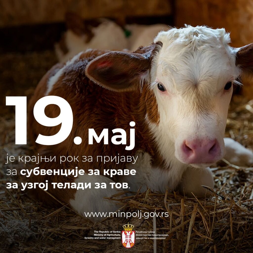 15 maj krajnji rok subvencije za krave