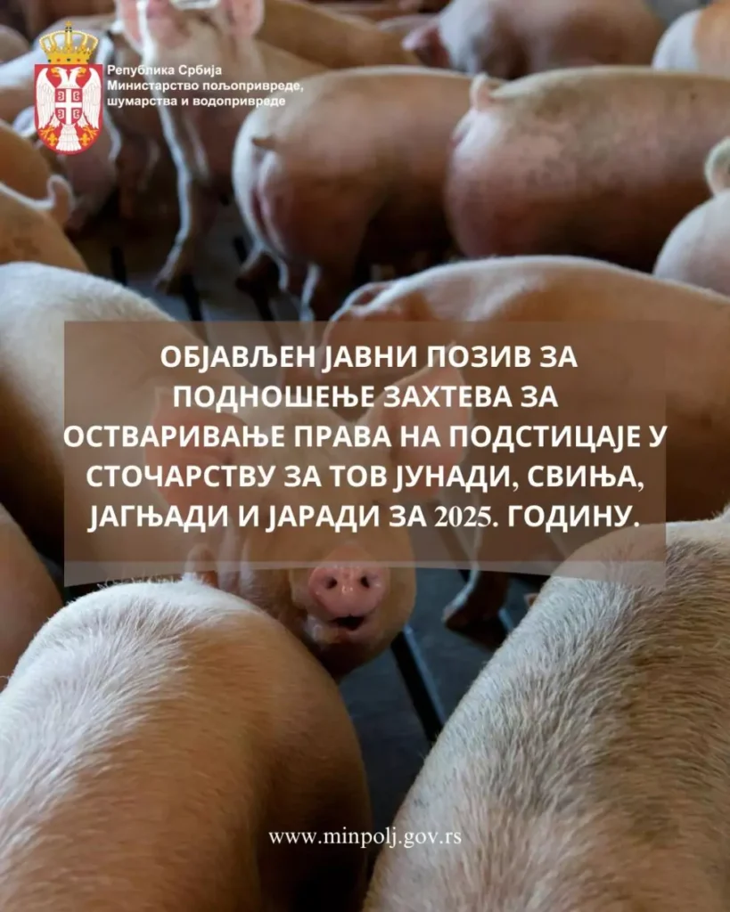 vizual tov 990x1238 683049c9bd33a