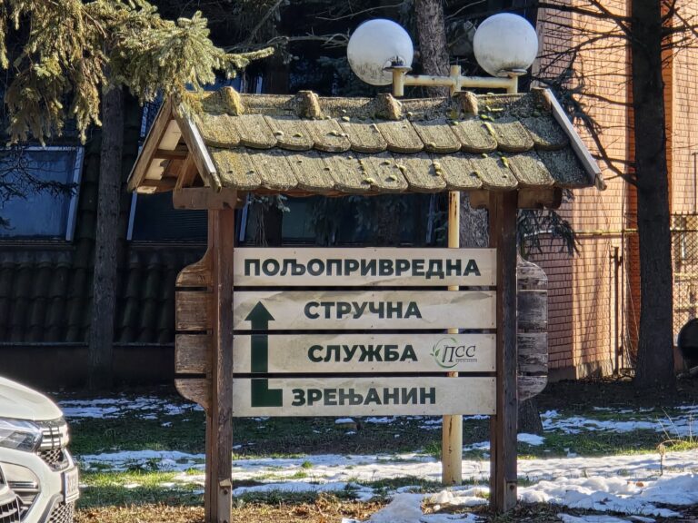 inbound5650745568781242026