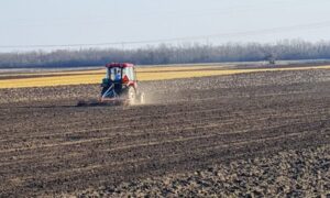 inbound5590363529177576683