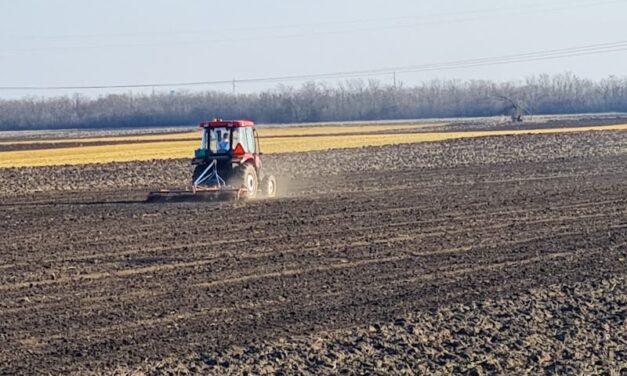 inbound5590363529177576683