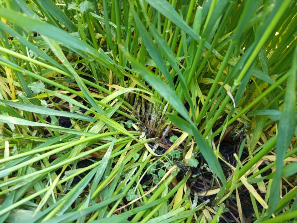 inbound4395181587659977292