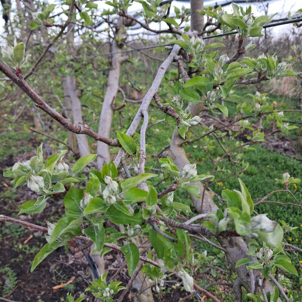 inbound6286307489531618589