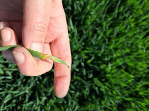 inbound8471037209114524549